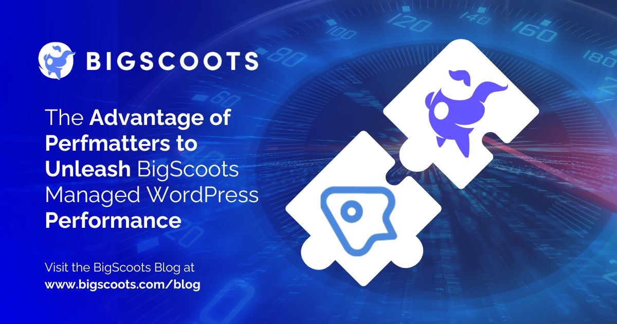 The Advantage of Perfmatters to Unleash BigScoots Managed WordPress